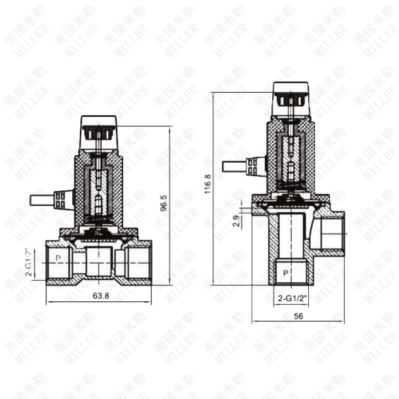 進口燃氣切斷電磁閥(圖1)