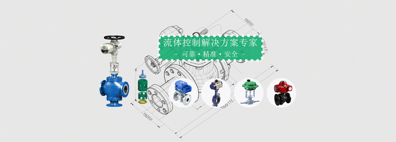 進口襯氟止回閥
